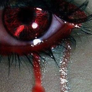 Meet your Posher, Anne